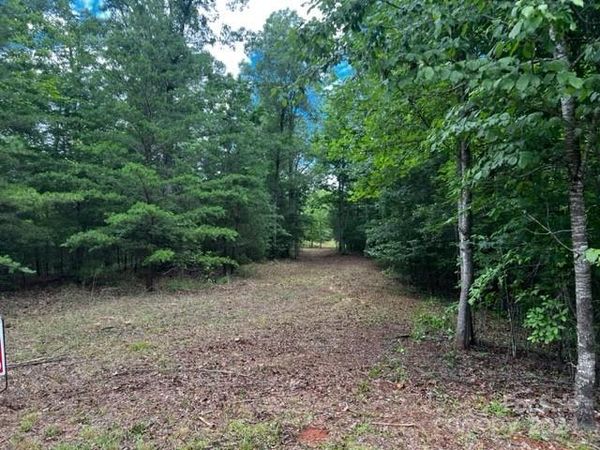 46 N Park Lane, Mill Spring, NC 28756