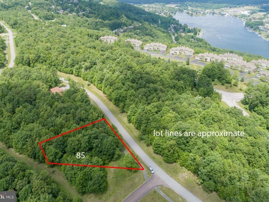 Lot 85 Snowhaven Lane, Mc Henry, MD 21541 Main Photo