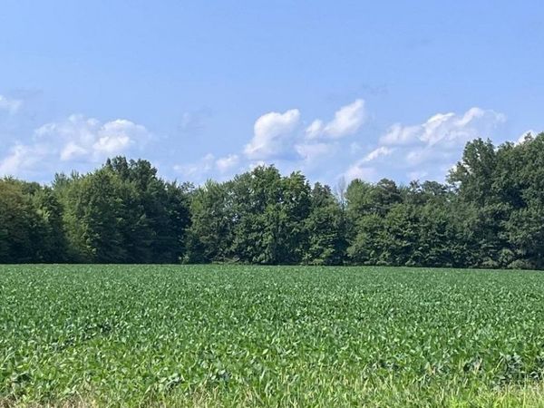 3517 Bardwell West Road, Green Twp, OH 45154