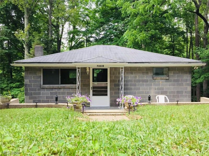 73310 Hazelwood Hills Road, Piedmont, OH 43983 Photo 1