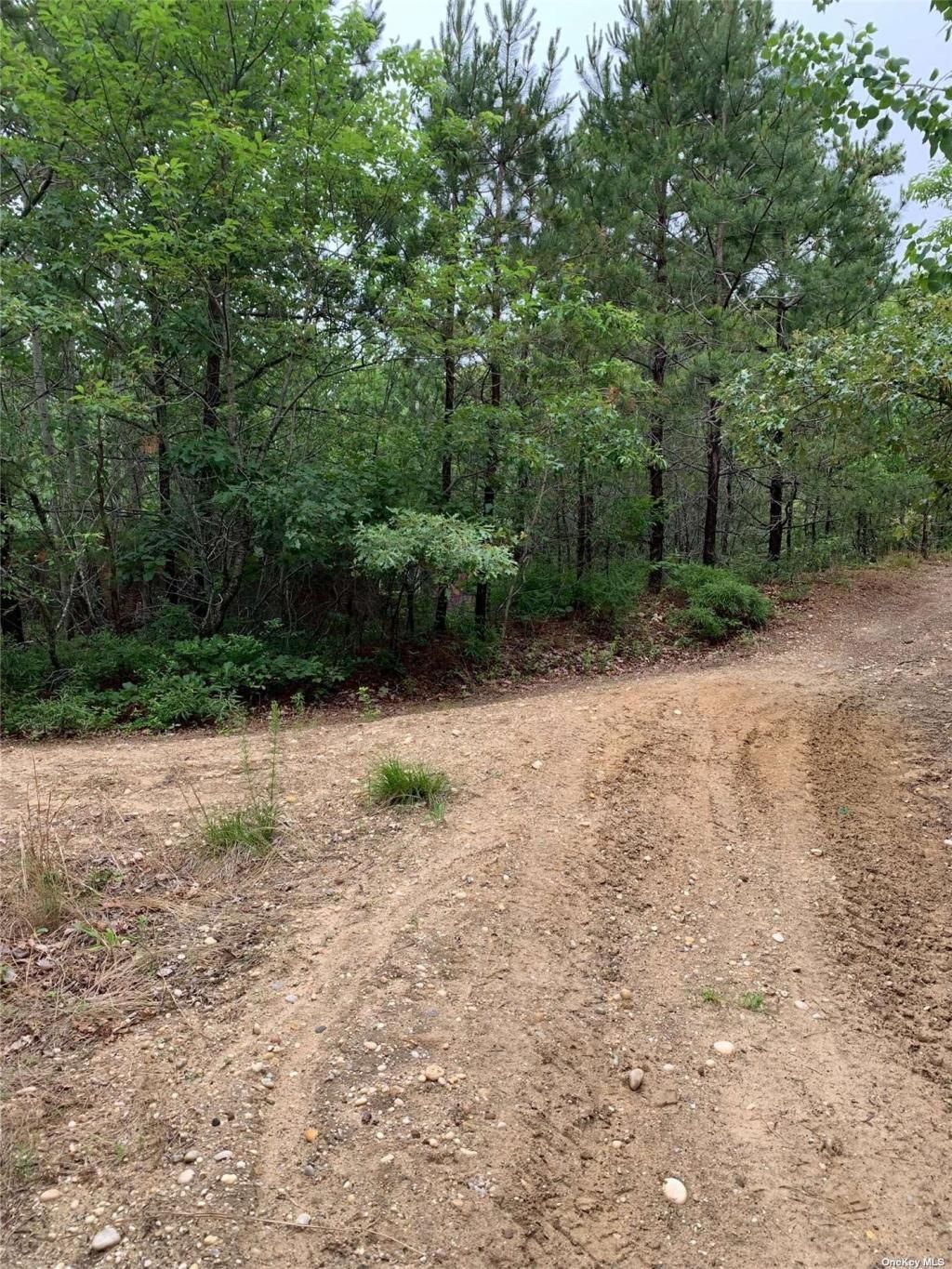 Woodland Road, Manorville, NY 11949 Main Photo