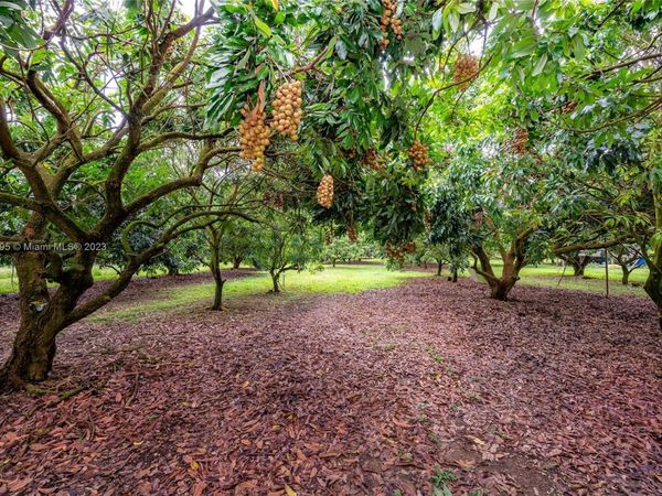 24350 SW 182nd Ave, Miami, FL 33031