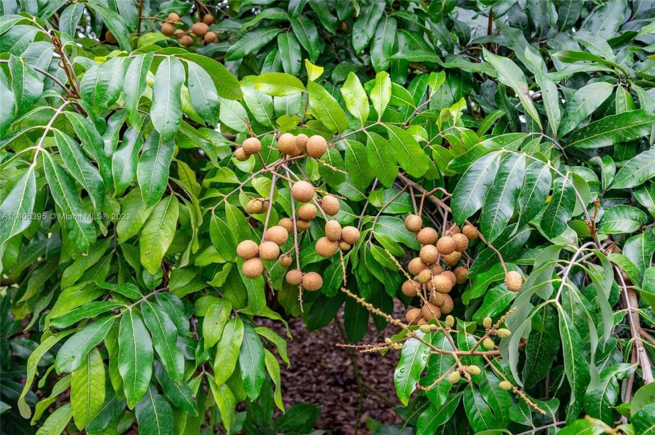 24350 SW 182nd Ave, Miami, FL 33031 Photo