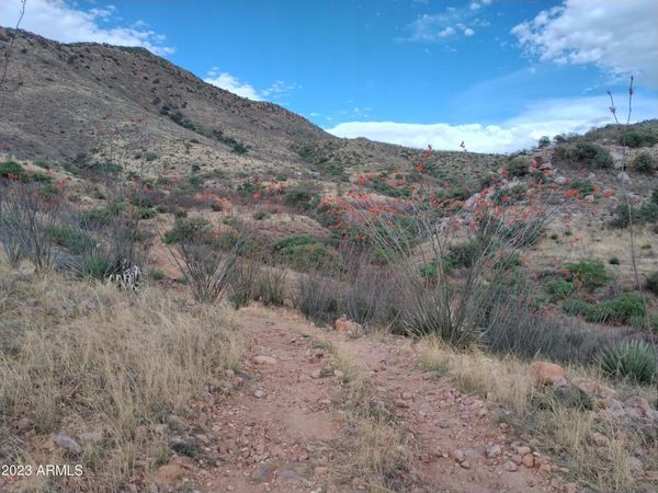 127 N Lupine Road, Unit 23, Bisbee, AZ 85603