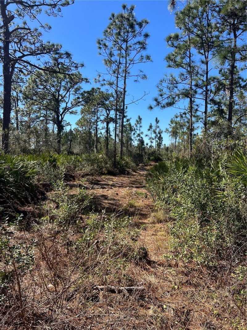 Shore Drive, Lake Wales, FL 33898 Main Photo
