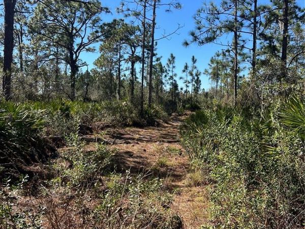 SHORE DRIVE, LAKE WALES, FL 33898