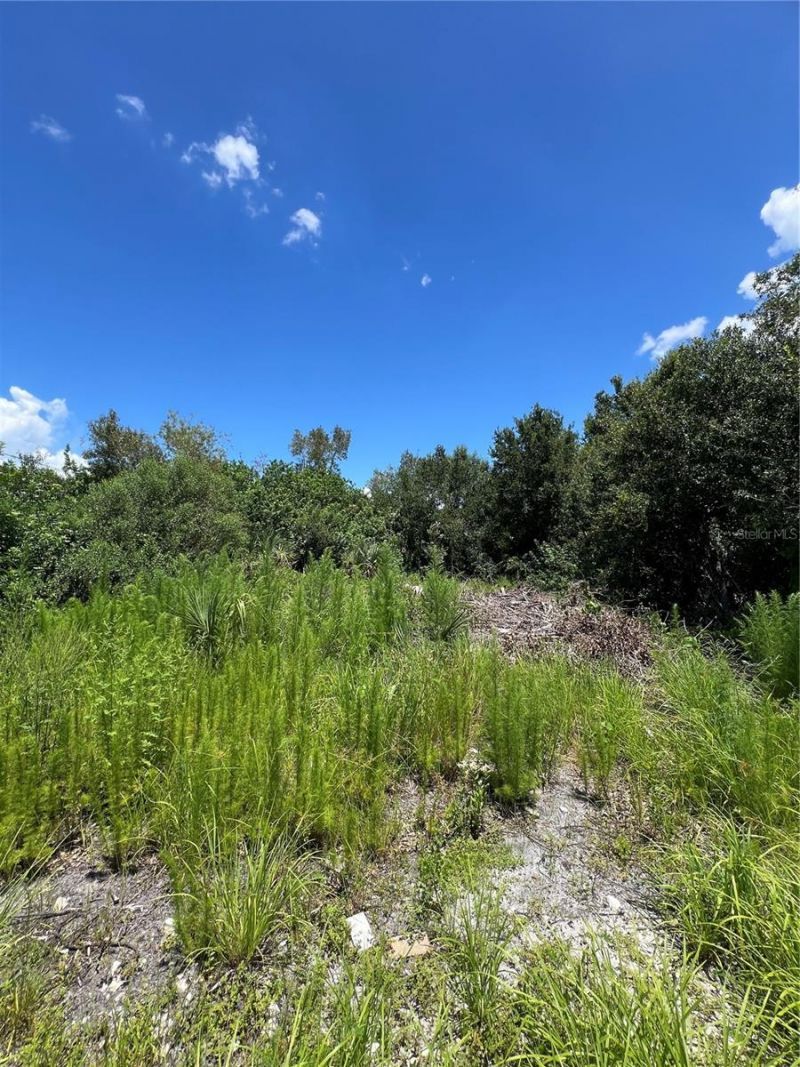 527 Orange Brook Lane, Punta Gorda, FL 33982 Photo