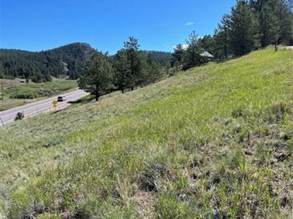 125 & 137 Hillside Drive, Florissant, CO 80816