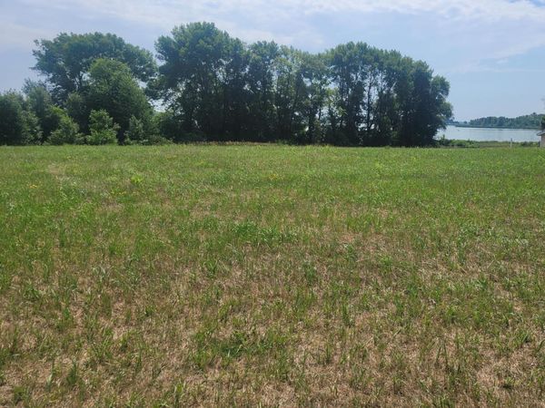 tbd 2nd St SE, Geneva, MN 56035