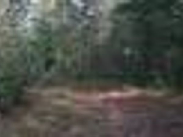 00 Hwy 515, Talking Rock, GA 30175