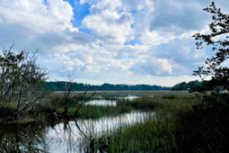 Lot D-2 7743 Toogoodoo Road photo 4