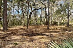 Lot D-2 7743 Toogoodoo Road photo 4