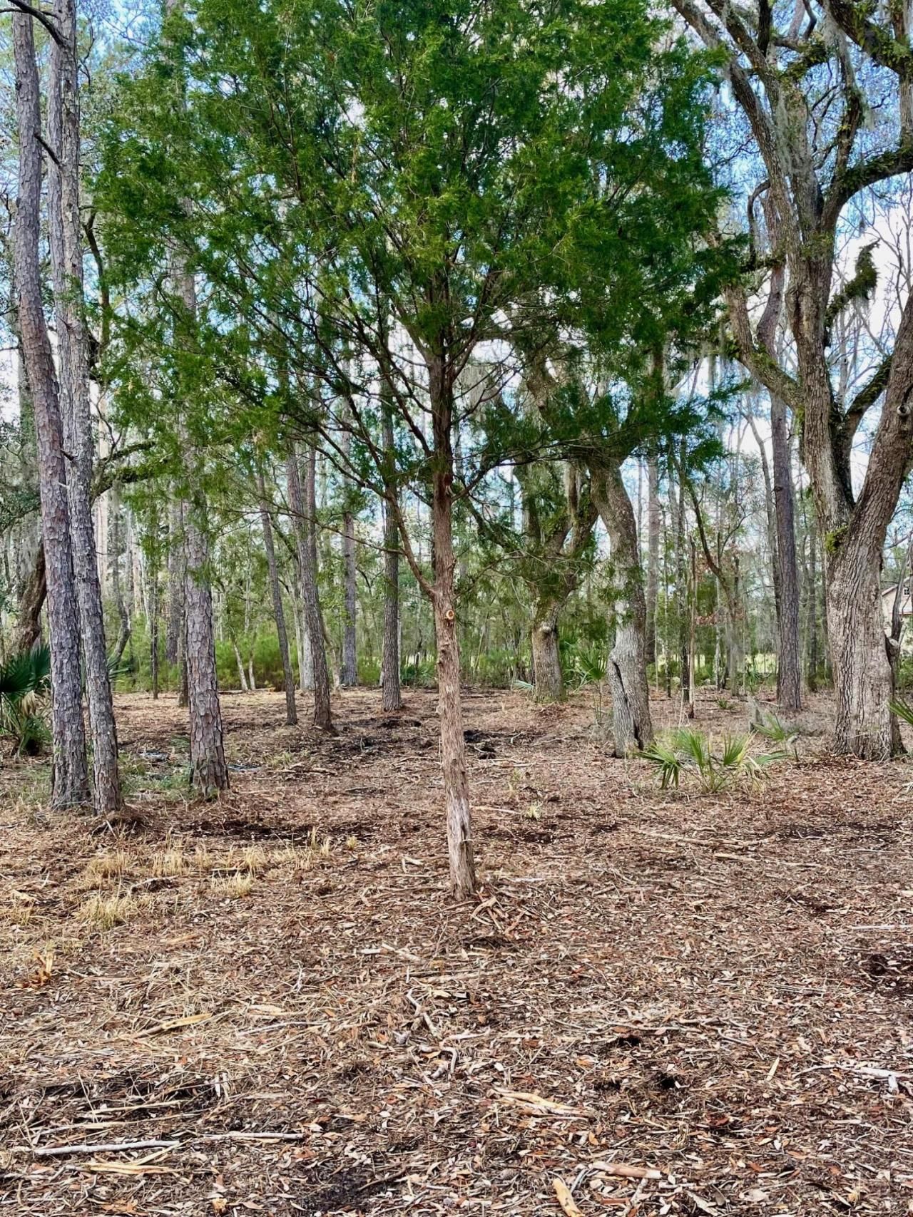 Lot D-2 7743 Toogoodoo Road Photo 6