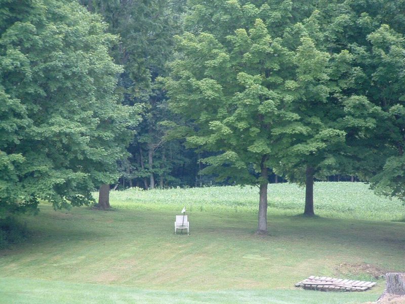 9311 Jug Road NW, Pataskala, OH 43062 Photo 25