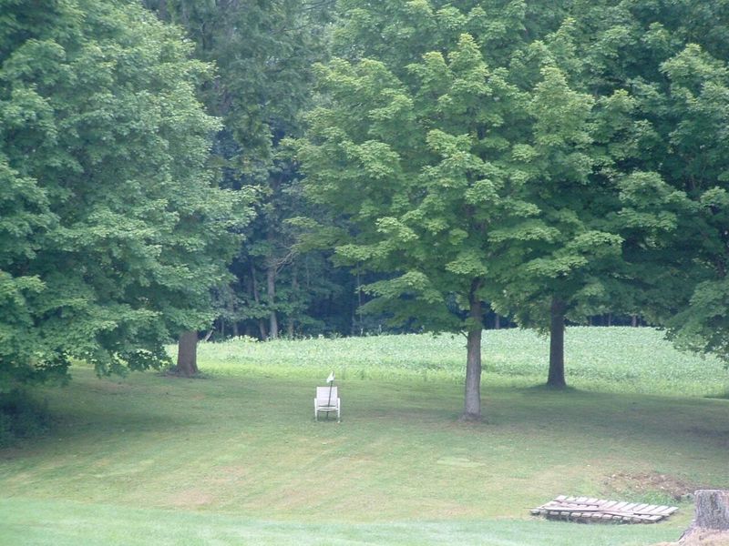 9311 Jug Road NW, Pataskala, OH 43062 Photo 26