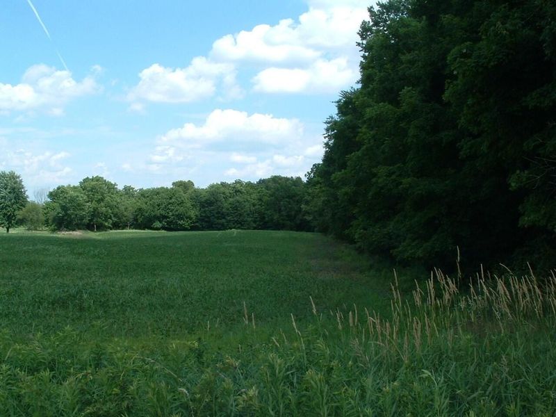 9311 Jug Road NW, Pataskala, OH 43062 Photo 31