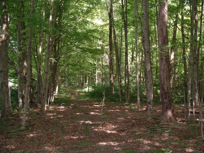 9311 Jug Road NW, Pataskala, OH 43062 Photo 33