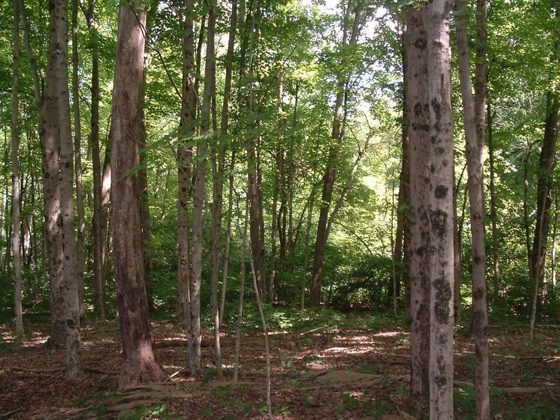 9311 Jug Road NW, Pataskala, OH 43062 Photo 34