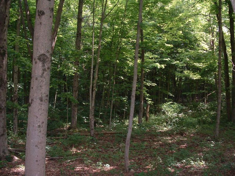 9311 Jug Road NW, Pataskala, OH 43062 Photo 37