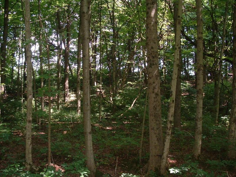 9311 Jug Road NW, Pataskala, OH 43062 Photo 41