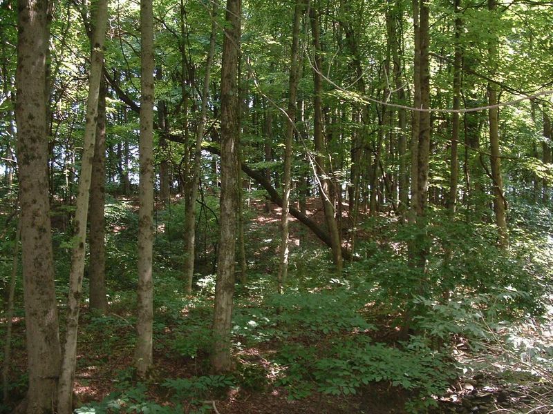 9311 Jug Road NW, Pataskala, OH 43062 Photo 42