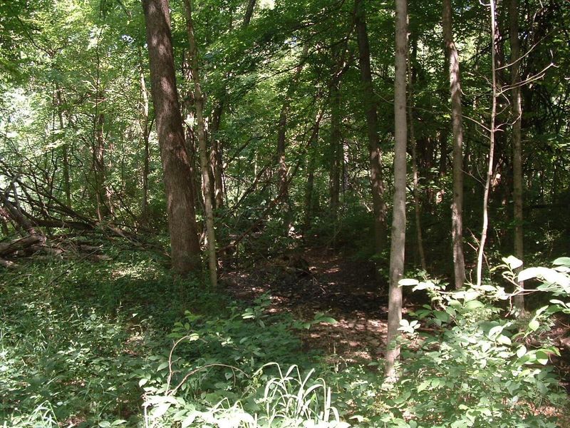 9311 Jug Road NW, Pataskala, OH 43062 Photo 43