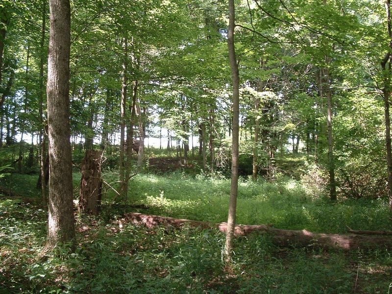 9311 Jug Road NW, Pataskala, OH 43062 Photo 45