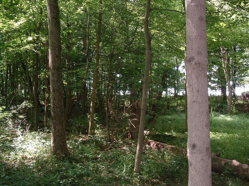 9311 Jug Road NW, Pataskala, OH 43062 Photo 45