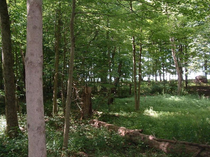 9311 Jug Road NW, Pataskala, OH 43062 Photo 46