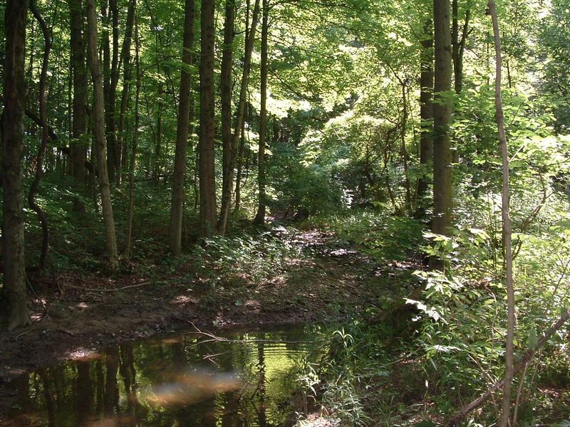 9311 Jug Road NW, Pataskala, OH 43062 Photo 47