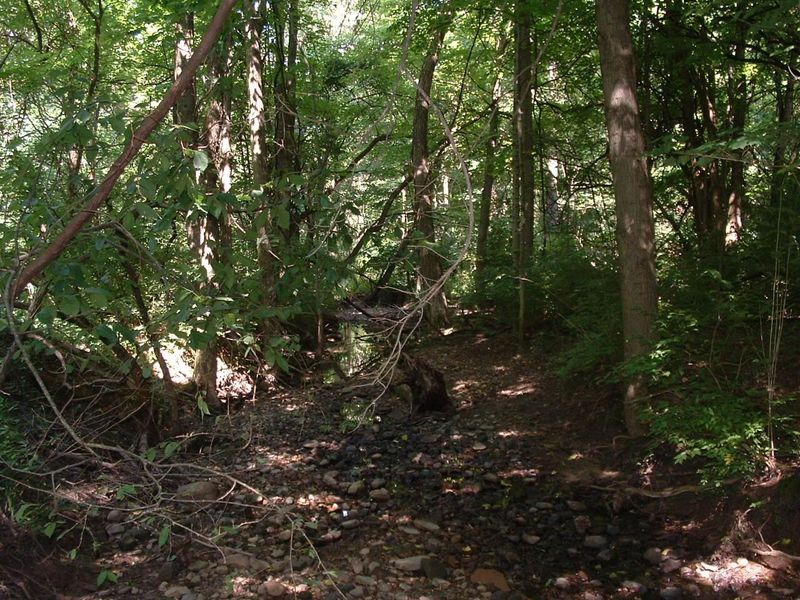 9311 Jug Road NW, Pataskala, OH 43062 Photo 49