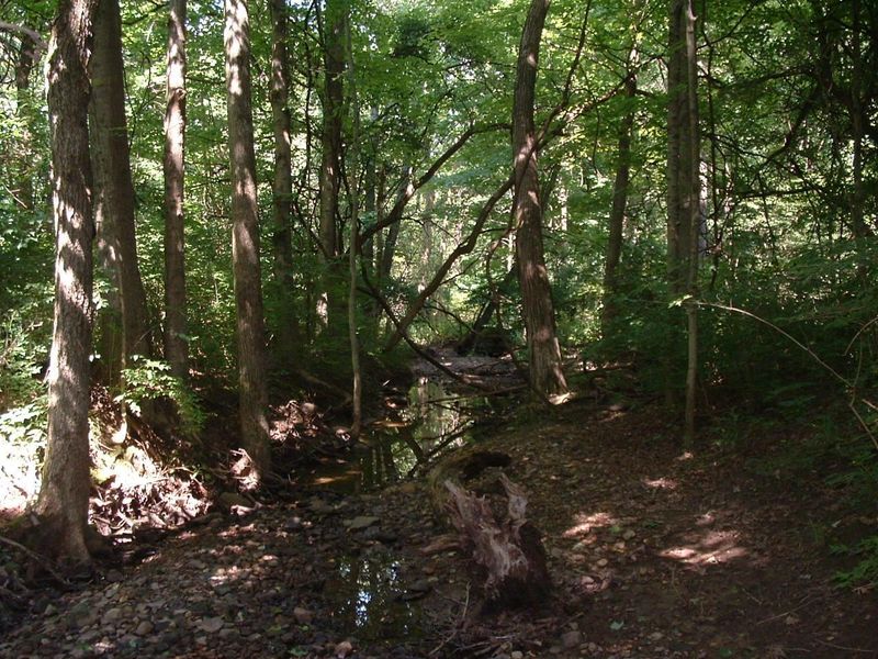 9311 Jug Road NW, Pataskala, OH 43062 Photo 50