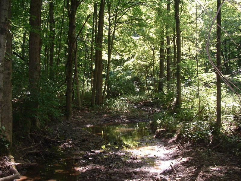 9311 Jug Road NW, Pataskala, OH 43062 Photo 51