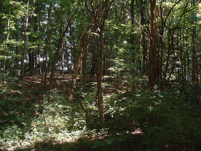 9311 Jug Road NW, Pataskala, OH 43062 Photo 52