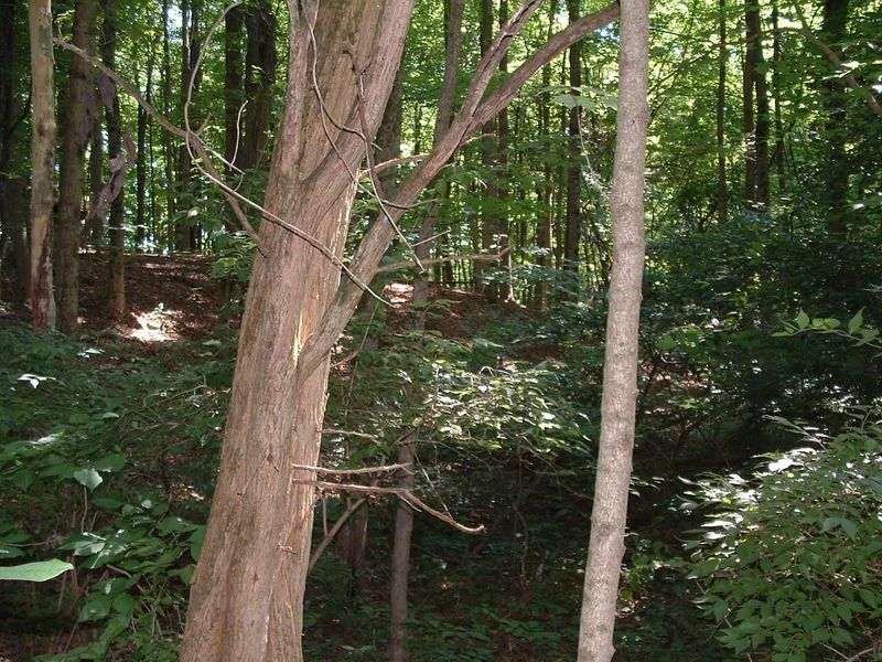 9311 Jug Road NW, Pataskala, OH 43062 Photo 53