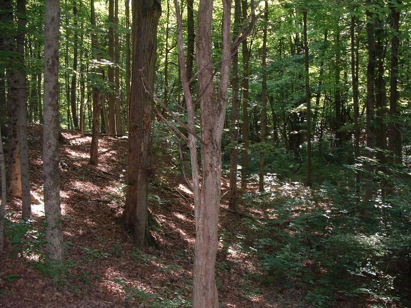 9311 Jug Road NW, Pataskala, OH 43062 Photo 54