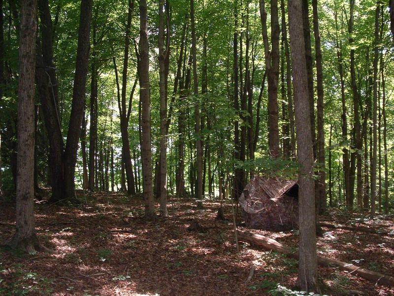 9311 Jug Road NW, Pataskala, OH 43062 Photo 55