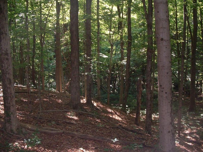 9311 Jug Road NW, Pataskala, OH 43062 Photo 56