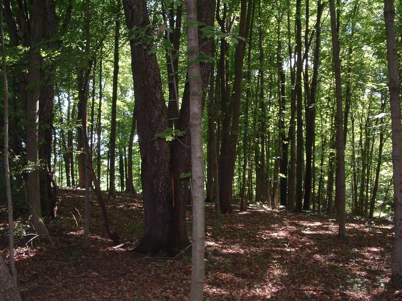 9311 Jug Road NW, Pataskala, OH 43062 Photo 58