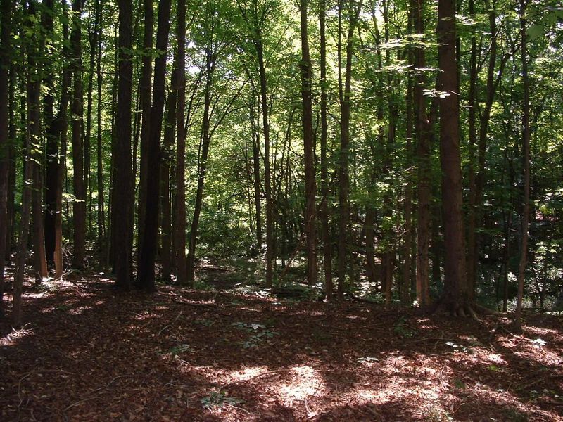 9311 Jug Road NW, Pataskala, OH 43062 Photo 59