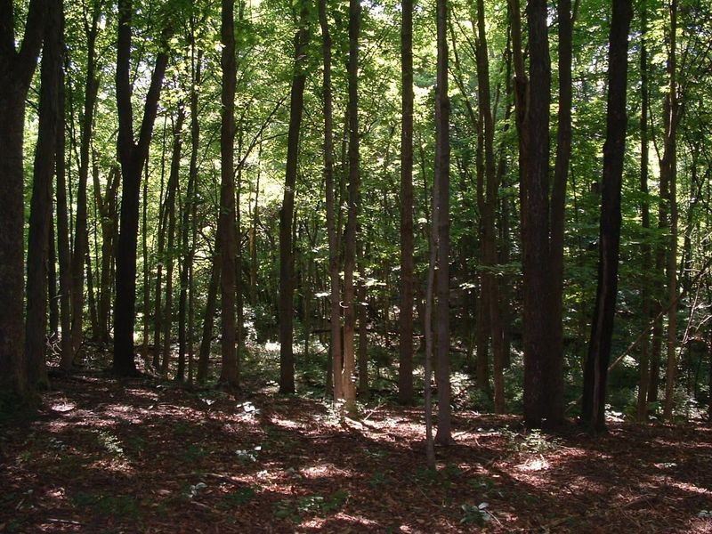 9311 Jug Road NW, Pataskala, OH 43062 Photo 60