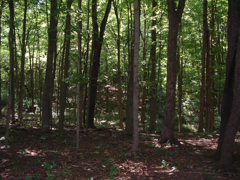 9311 Jug Road NW, Pataskala, OH 43062 Photo 61