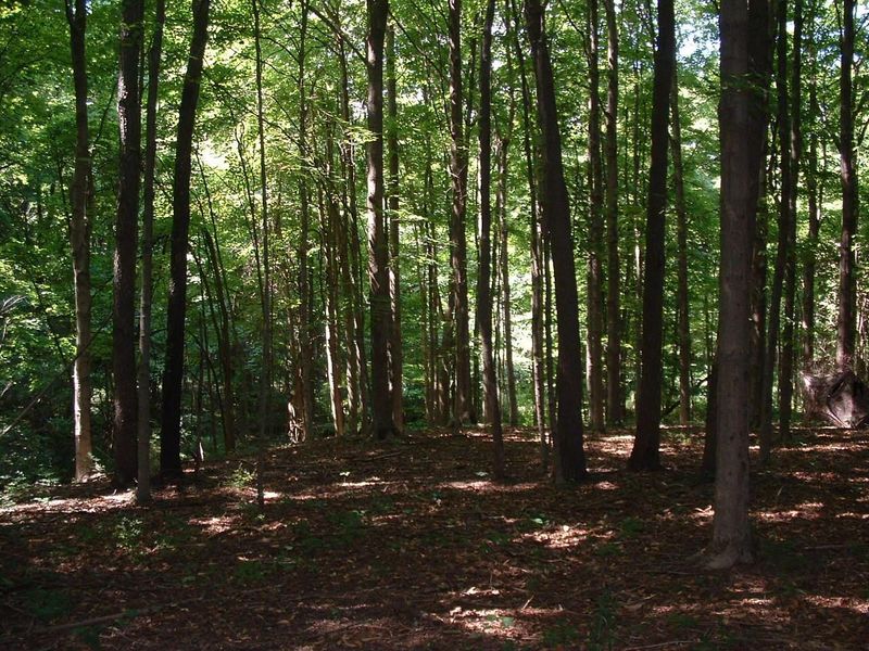 9311 Jug Road NW, Pataskala, OH 43062 Photo 62