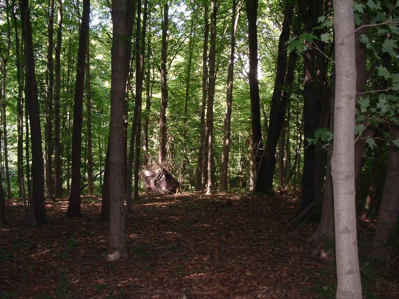 9311 Jug Road NW, Pataskala, OH 43062 Photo 63