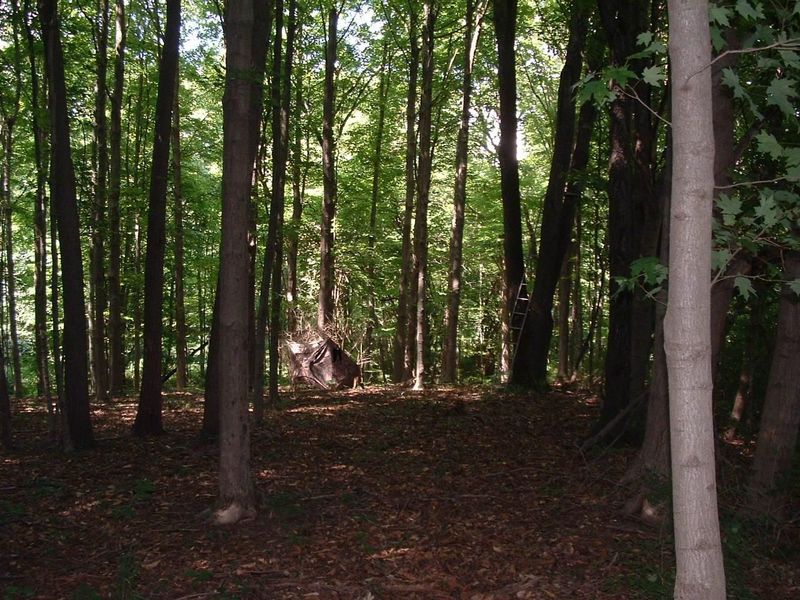 9311 Jug Road NW, Pataskala, OH 43062 Photo 64