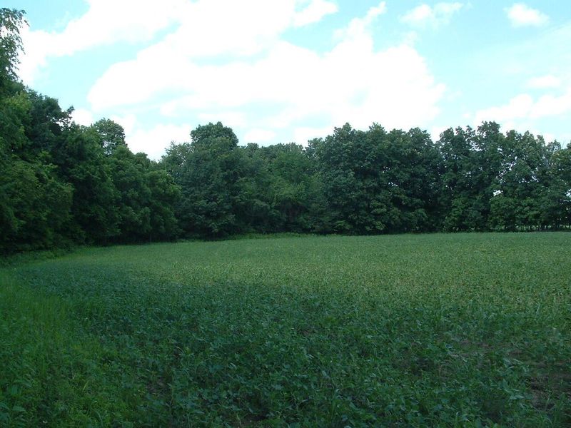 9311 Jug Road NW, Pataskala, OH 43062 Photo 64