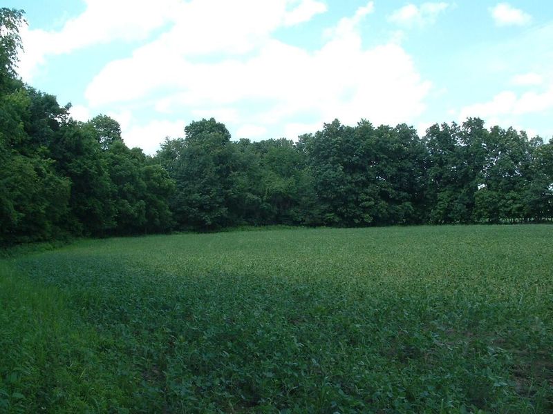 9311 Jug Road NW, Pataskala, OH 43062 Photo 65