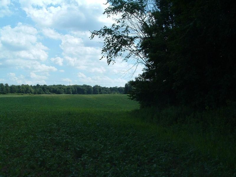 9311 Jug Road NW, Pataskala, OH 43062 Photo 68