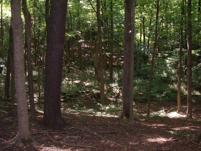 9311 Jug Road NW, Pataskala, OH 43062 Photo 68