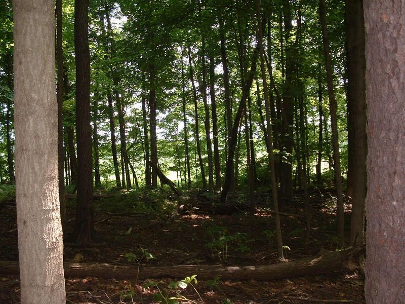 9311 Jug Road NW, Pataskala, OH 43062 Photo 69